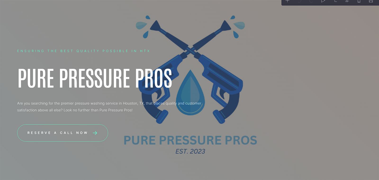Pure Pressure Pros homepage hero: crossed pressure-washer wands above the headline 'Pure Pressure Pros' and a reserve-a-call button